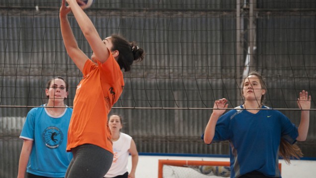 imagen Más de 1500 deportistas disputarán los Juegos Universitarios Regionales
