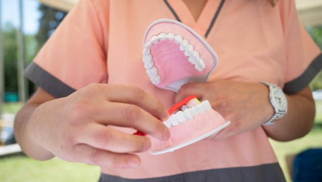 imagen Promoción y educación para la salud bucal, protagonistas de la Semana de la Odontología