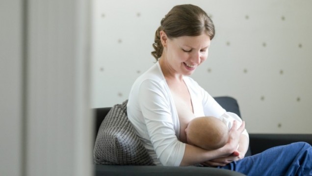 imagen Darán un curso sobre lactancia materna 