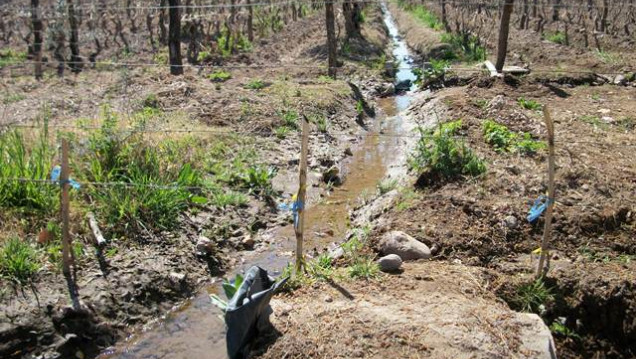 imagen Maestría en Riego y Drenaje: una trayectoria de más de 20 años