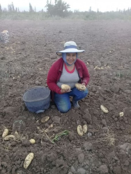 imagen La ruralidad tiene cara de mujer: testimonios y reflexiones en su día