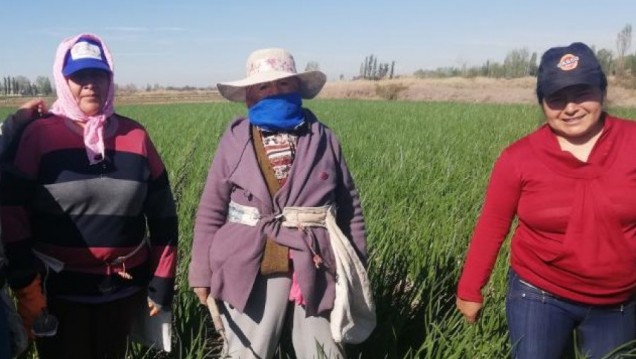 imagen La ruralidad tiene cara de mujer: testimonios y reflexiones en su día