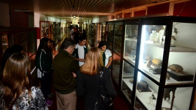 imagen La Universidad abrirá las puertas de sus museos