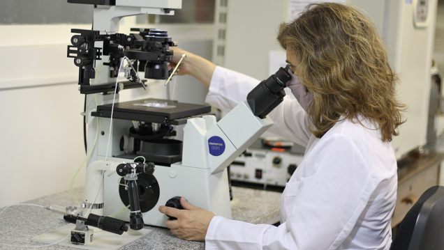 imagen Biotecnología reproductiva para dar impulso a la producción caprina regional 