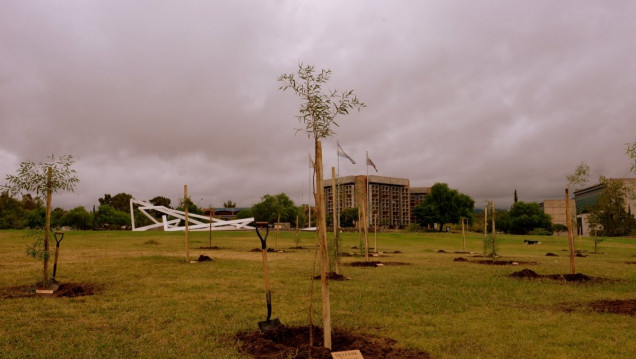 imagen Plantarán árboles por la memoria