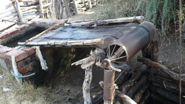 imagen Biólogos del Instituto de Ciencias Básicas se adentran en el desierto para conocer cómo consiguen agua los seres vivos