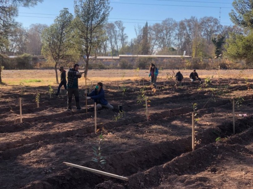 imagen #PresencialidadUNCUYO: así se aplica la modalidad "inteligente" en Agrarias