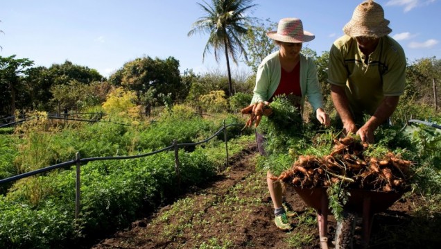 imagen Ofrecen ciclo de capacitación en ventas y comercialización para productores rurales