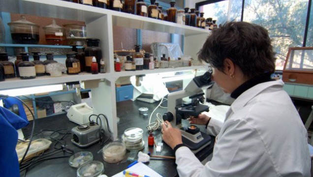 imagen Convocan a presentar Programas de Investigación y Desarrollo 