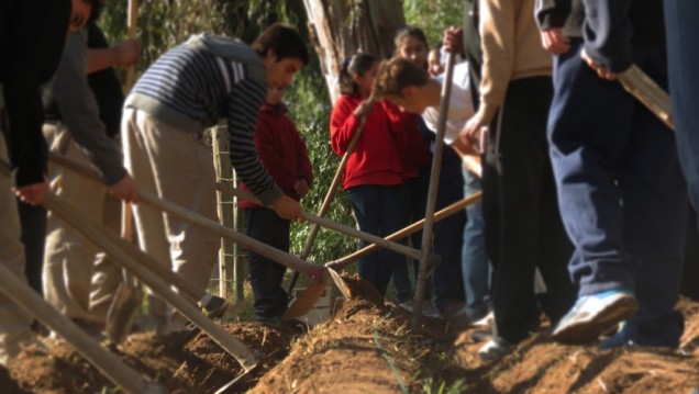 imagen Extienden plazo para recibir proyectos socioeducativos de escuelas universitarias
