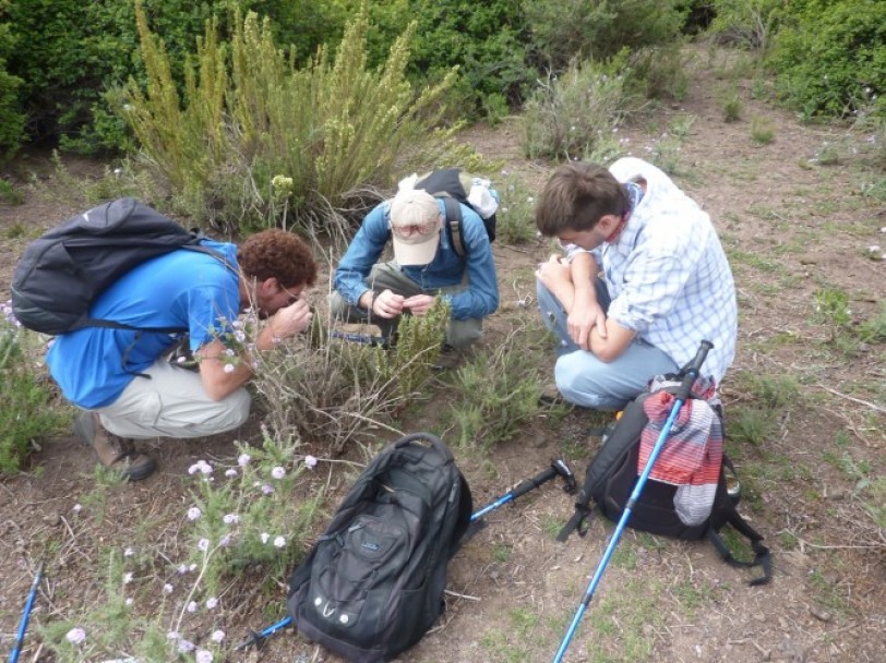 imagen Ciencias Agrarias apuesta a la reforestación para cuidar el medioambiente 