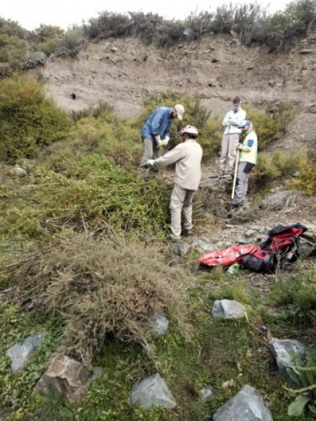 imagen Ciencias Agrarias apuesta a la reforestación para cuidar el medioambiente 