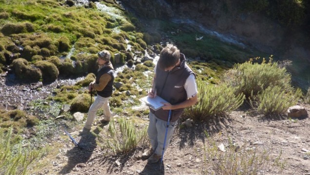 imagen Ciencias Agrarias apuesta a la reforestación para cuidar el medioambiente 