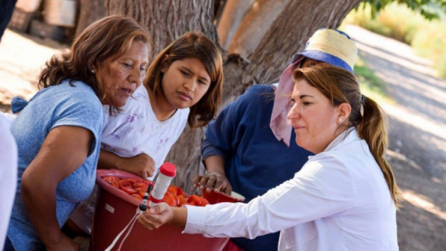 imagen Más de treinta proyectos vincularán a la UNCUYO con la comunidad