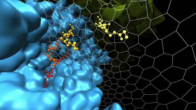 imagen Tratan en una charla el universo de la simulación computacional