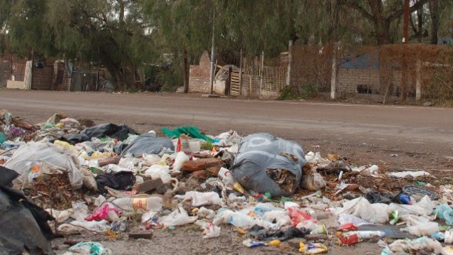 imagen El reciclado doméstico de basura es el eje de un trabajo de extensión de la Universidad