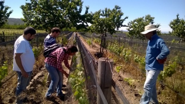 imagen En vivo por redes sociales charlarán sobre la Extensión Rural en tiempos de pandemia