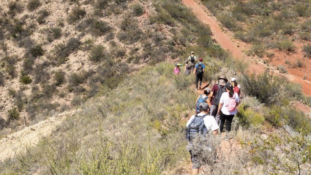 imagen Promueven caminatas turísticas para la comunidad universitaria