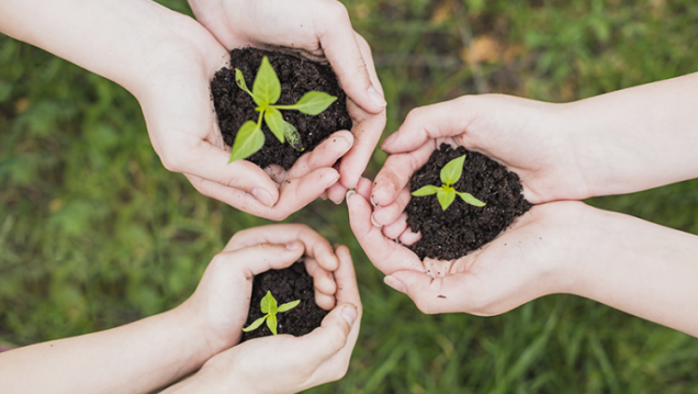 imagen Invitan a sumarse al "Voluntariado Construyendo Sustentabilidad"