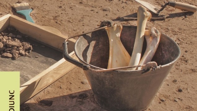 imagen Arqueología de las cordilleras de Mendoza y San Juan en el nuevo libro de Ediunc