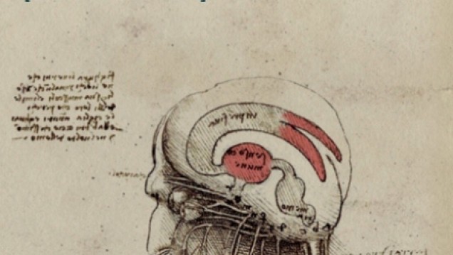 imagen Ediunc presenta un libro sobre Lingüística Cognitiva 