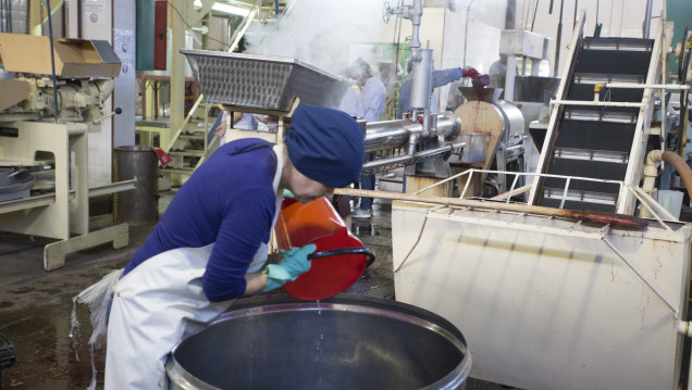 imagen Expertos pondrán la lupa en problemáticas del trabajo y la producción