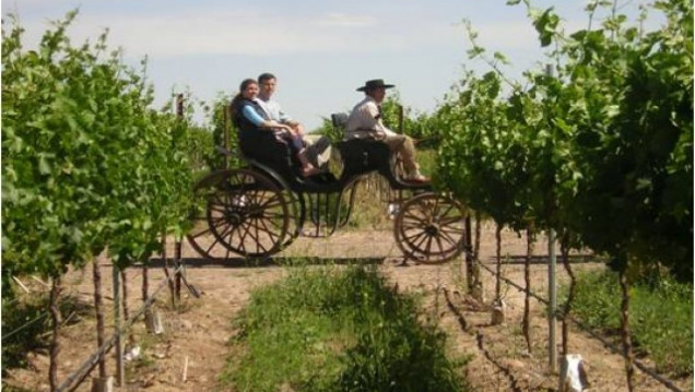 imagen Convocan a participar en el Primer Congreso Internacional de Turismo del Vino