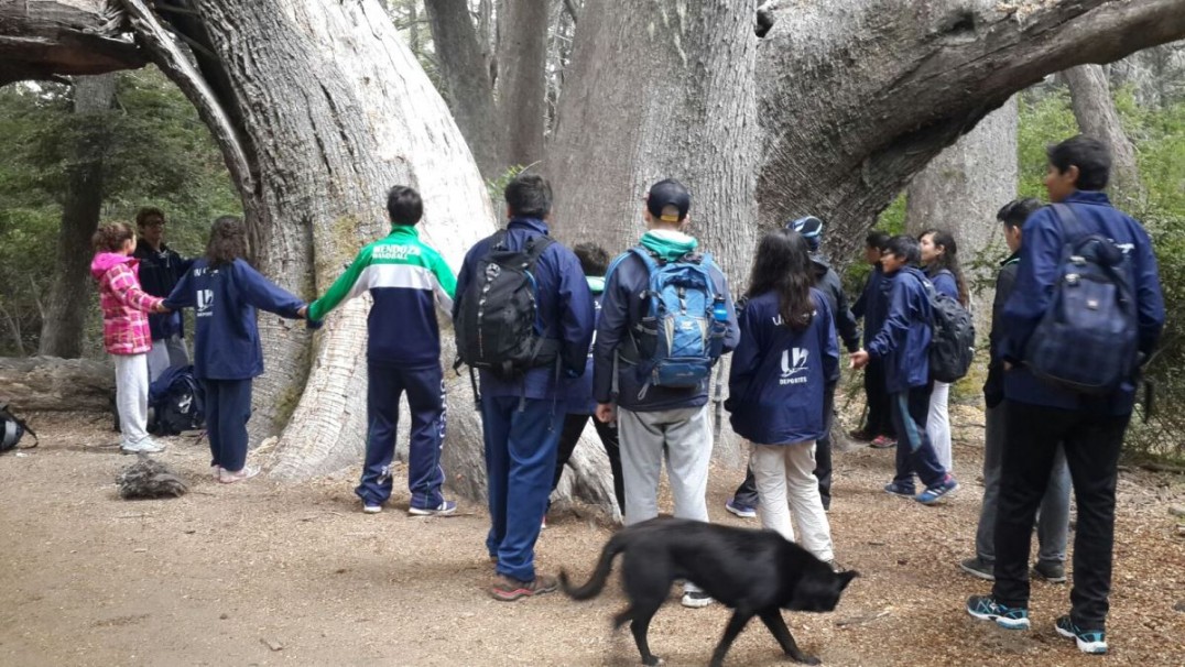 imagen Jóvenes aprenden a cuidar el medio ambiente en La Angostura