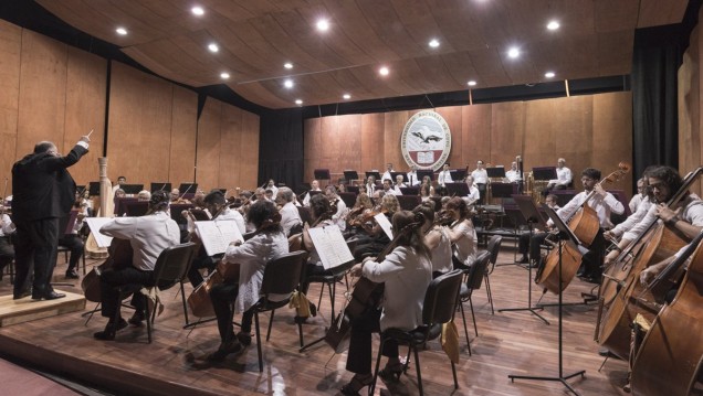 imagen Probarán músicos para viola y violoncello