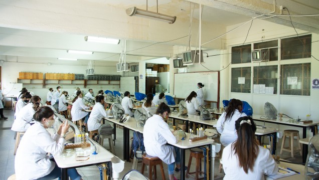 imagen Así arranca el calendario académico con la presencialidad que definieron las autoridades de la UNCUYO