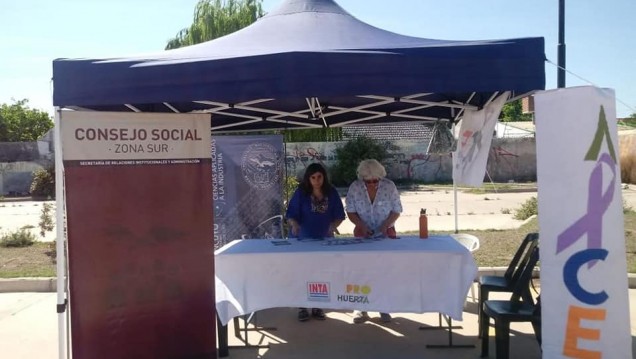 imagen El Consejo Social participó de la segunda "Feria Verde"