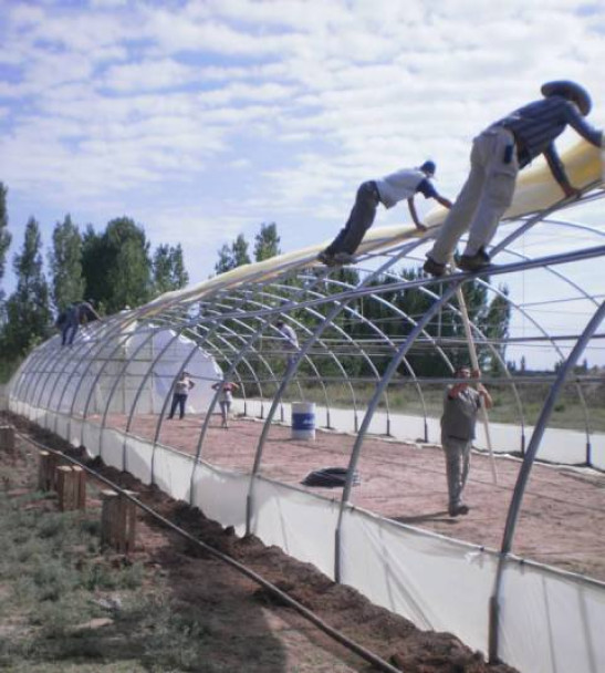 imagen La SRIyT concluyó el año de actividades inaugurando el invernadero de plantines de especies hortícolas en Lavalle