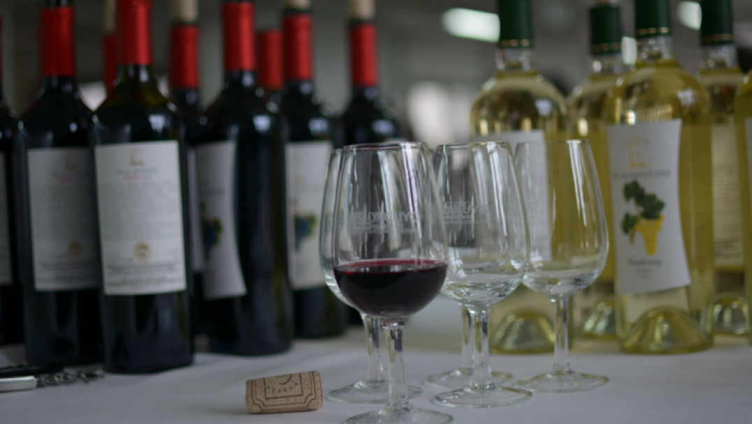 imagen Alumnos de la UNCuyo aprenden a degustar vino responsablemente