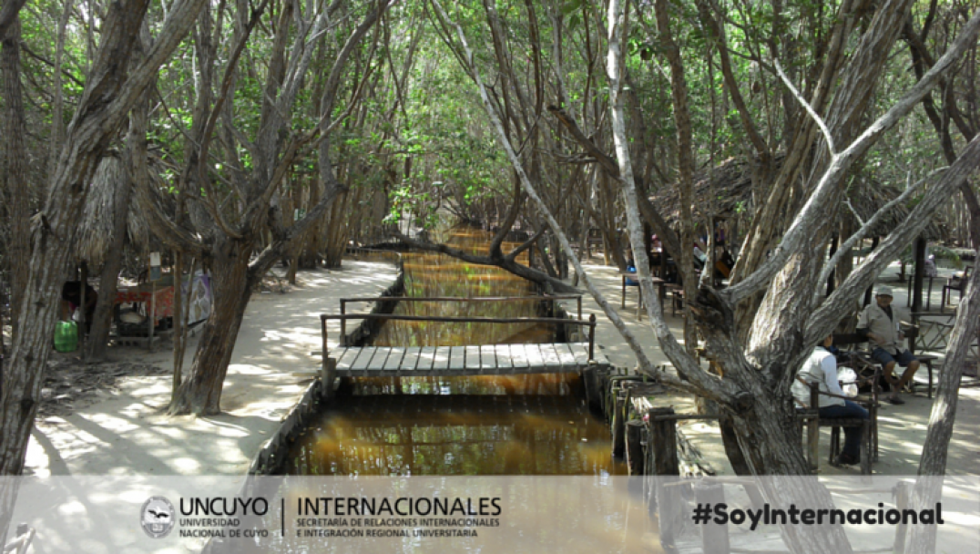 imagen México profundo #SoyInternacional