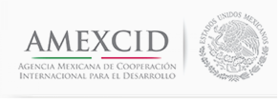 imagen Convocatoria de Becas de Excelencia del gobierno de México para extranjeros 2015.