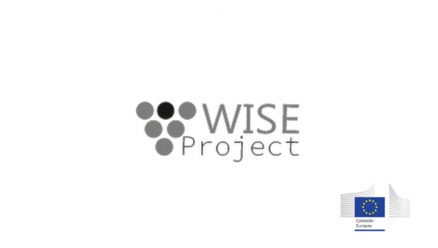 imagen V-WISE | Marie Sklodowska-Curie Research