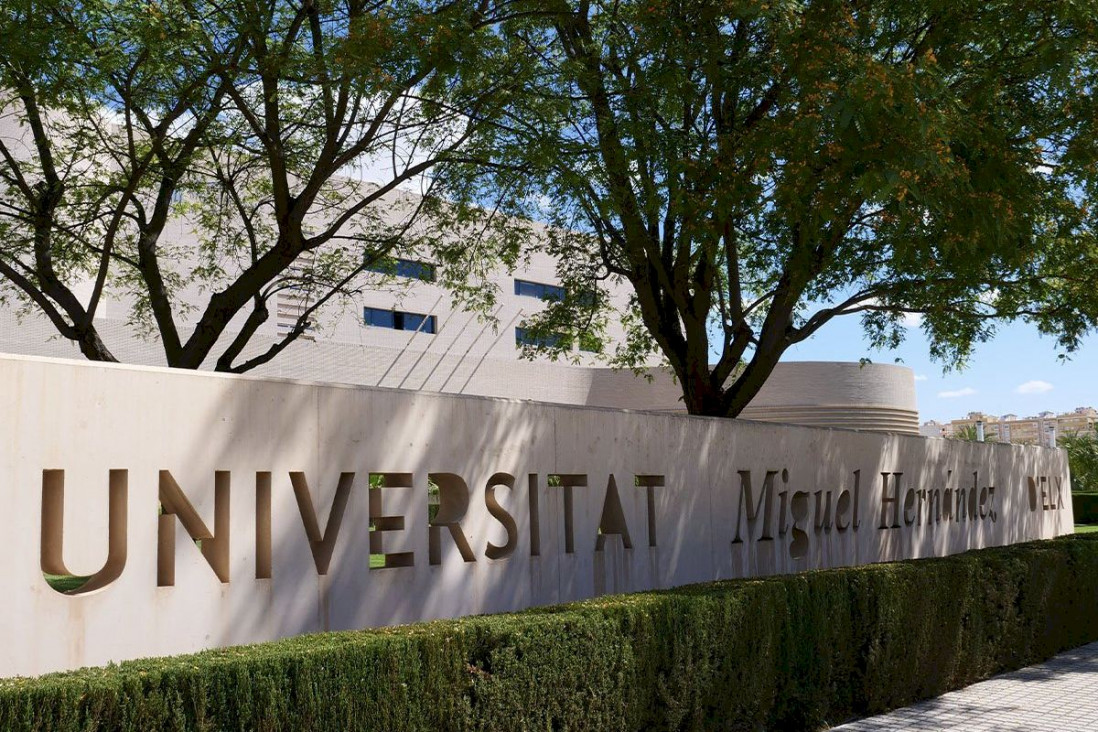 imagen Curso internacional sobre Inteligencia Artificial Generativa para docentes universitarios