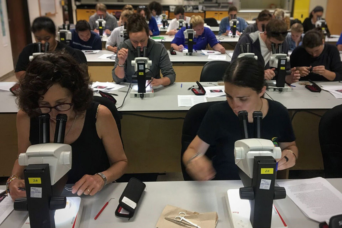 imagen Becas de investigación Fulbright-CONICET 2024