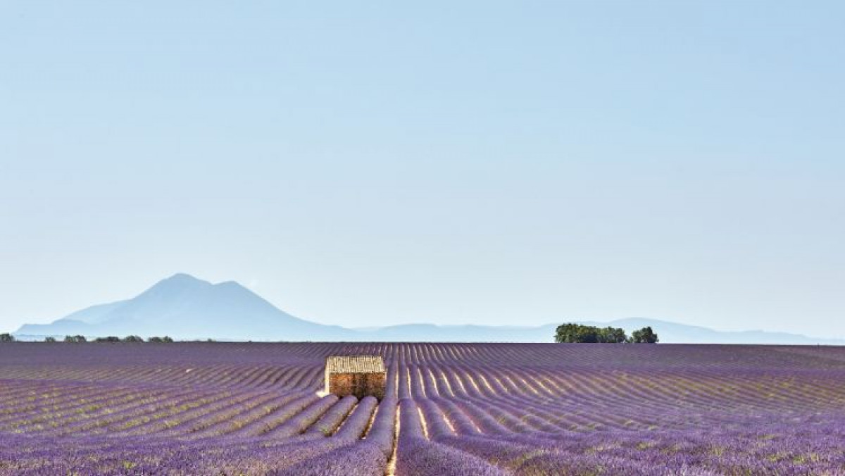 imagen  Make Our Planet Great Again  (MOPGA) 2026