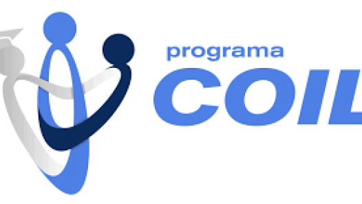 imagen Curso para docentres de Introducción al Aprendizaje Colaborativo Internacional en Línea (COIL)