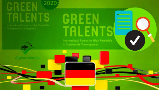 imagen Asesoramiento digital sobre oportunidades de cooperación Alemania-Argentina: Convocatoria Green Talents 2020