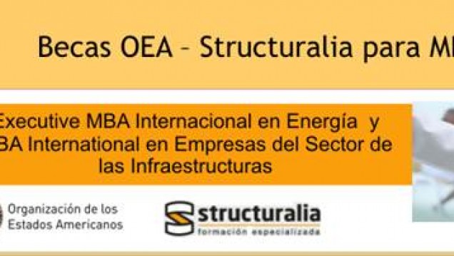 imagen Oportunidades de Becas OEA – Structuralia