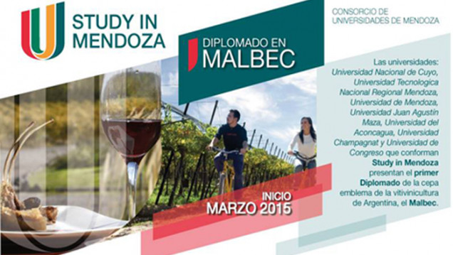 imagen DIPLOMADO EN MALBEC - STUDY IN MENDOZA