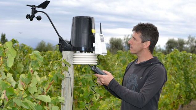 imagen Experto francés disertará sobre  vitivinicultura y cambio climático