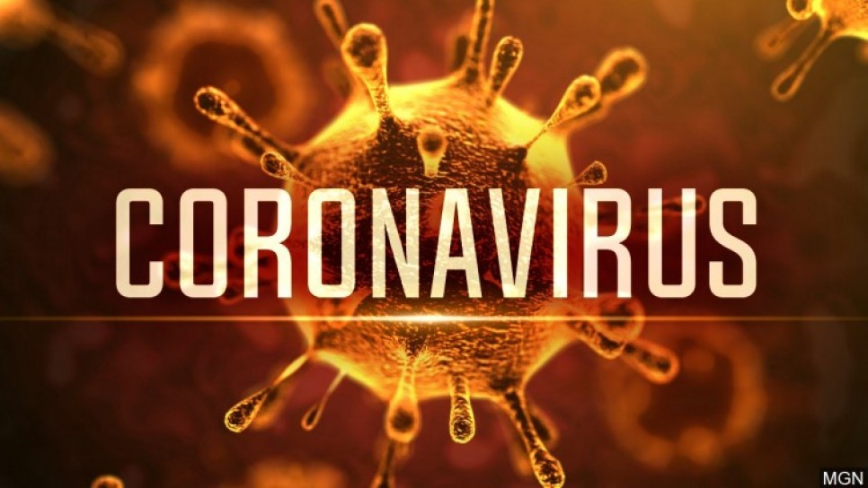 imagen Call for Researchers interested in Coronavirus