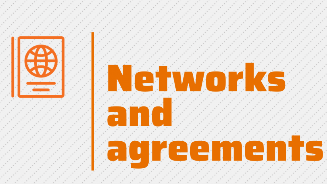 imagen Networks and agreements 