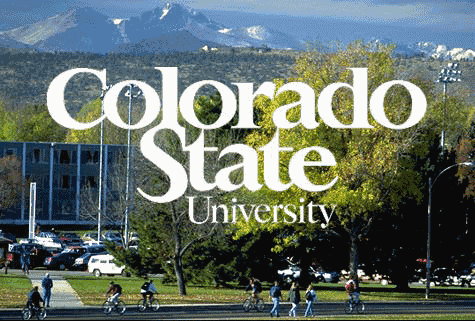 imagen Becas para cursos de grado, maestria y doctorado en la Colorado State University-USA/ OEA (PAEC)