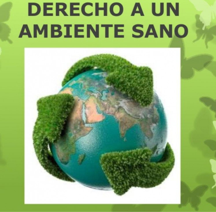 imagen A cuatro años del reconocimiento del derecho a un ambiente sano