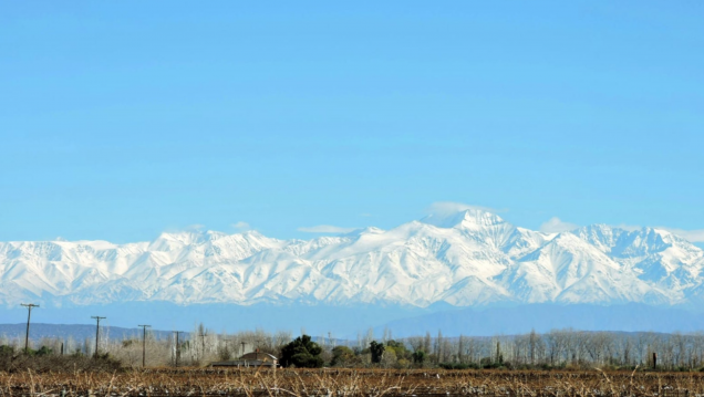 imagen Valle de Medrano: siete pymes mendocinas se unen para llevar vino y aceite de oliva al mundo
