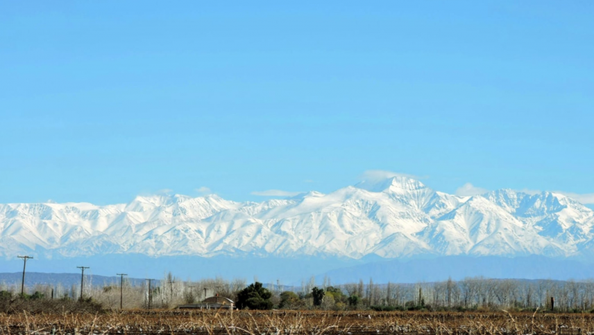 imagen que ilustra noticia Valle de Medrano: siete pymes mendocinas se unen para llevar vino y aceite de oliva al mundo